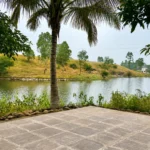 The 7- Day Healing Retreat (Residential)