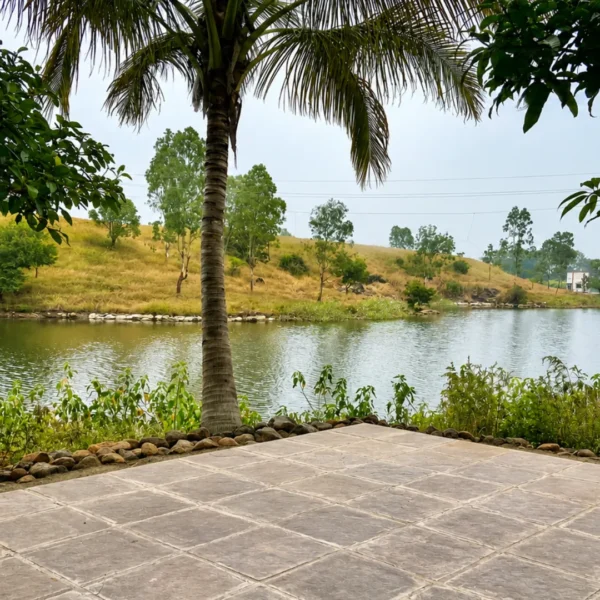 The 7- Day Healing Retreat (Residential)
