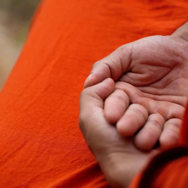 Healing with Mudras & Diet (Recording Only)